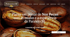 Desktop Screenshot of pecan.com.br
