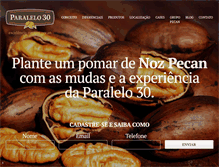 Tablet Screenshot of pecan.com.br